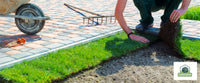 Creating Your Dream Lawn: A Practical How-To Guide