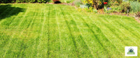 Get the Perfect Yard: How Do You Make Homemade Lawn Stripes?