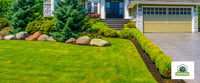 Transform Your Yard with These Easy Lawn Care Tips (DIY)