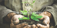 NPK: The Science, What They Are and What They Do