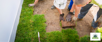 Professional Lawn Care vs. DIY A Comprehensive Comparison.png.png